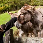 Farmház Scuderia Della Valle Valsecca