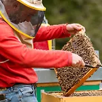 Farmház Scuderia Della Valle Valsecca